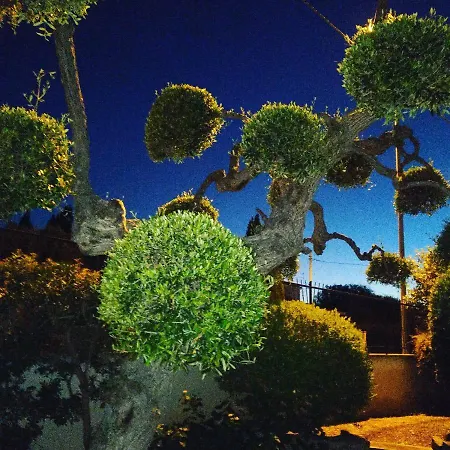 Bed & Breakfast Lucia 3*